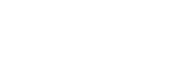Icon of a Negev