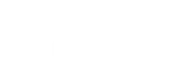 Icon of a P250