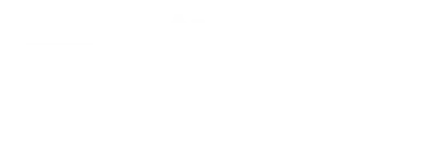 Icon of a SCAR-20